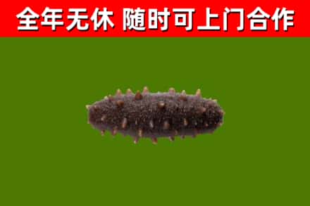 苗栗县烟酒回收干海参.jpg